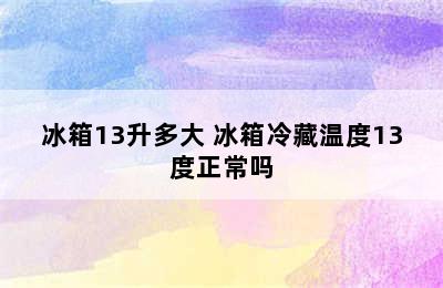 冰箱13升多大 冰箱冷藏温度13度正常吗